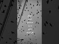 م ن أعتاد الصمت يرتجف أثناء الك لام