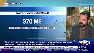 Antoine Hubert Ynsect Ynsect Lève 190M Supplémentaires Dans Lélevage Dinsectes