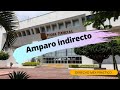 Amparo indirecto 📑🗃️ explicado en menos de 10 minutos 🧑‍⚖️ Clase en línea ⚖🦉⚖ Derecho Mex Práctico