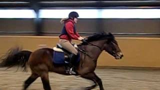 Sprang, Ane Og Blesen 1