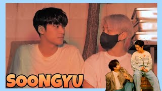 SOONGYU Detailed Moments|| SEVENTEEN's Expressive Couple