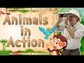 Animaux en action  chanson de mouvement pour les enfants  jack hartmann