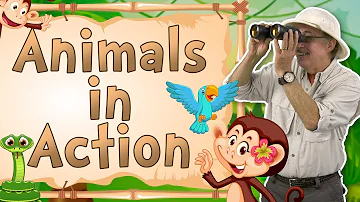 Animals in Action | Movement Song for Kids | Jack Hartmann