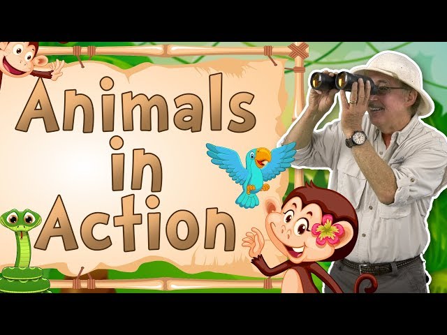 Animals in Action