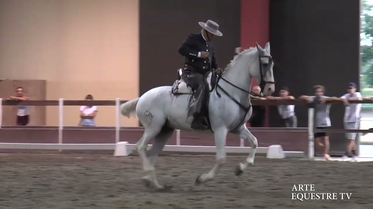 ARTE EQUESTRE TV - 9 - ESIBIZIONE DOMA VAQUERA - ANGELO BERETTA