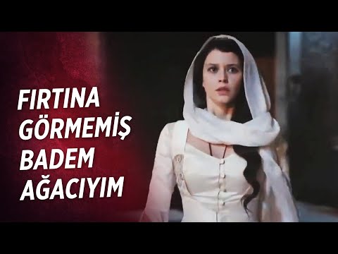 Küllerinden Doğmak Teriminin