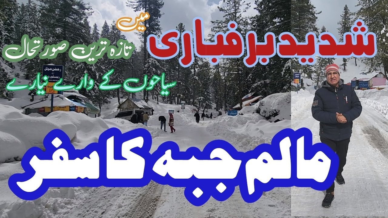 How to Travel to Malam Jabba in Heavy Snowfall | Tourists can go to Malam Jabba in their car