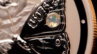 Unboxing The Meadow Argus Opal Coin