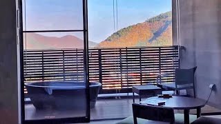 Hakone Vlog: Hakone Hotel Kowakien  ,Hakone Shrine ,Lake Ashi Net Worth