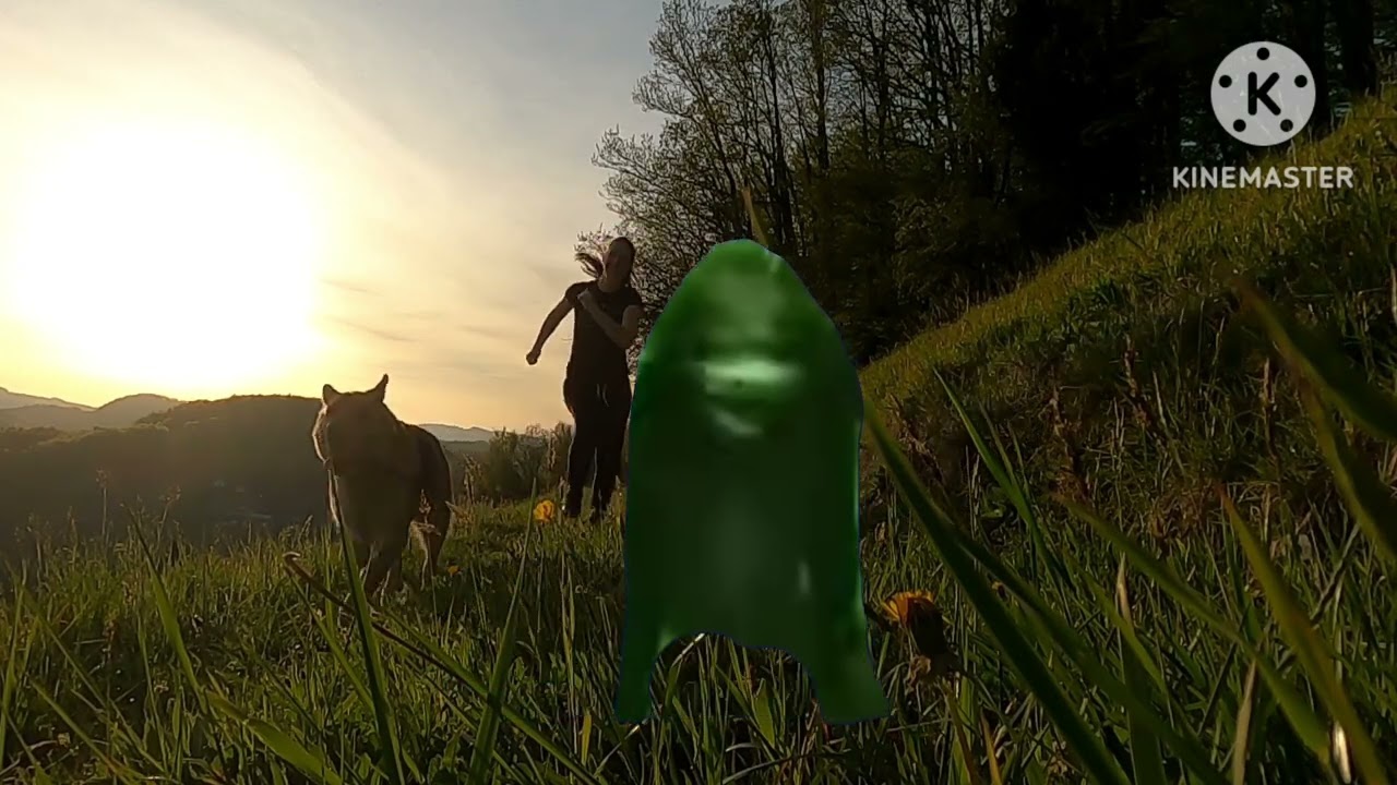 chuchos guys dog run scary rocking chair exorcist