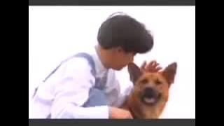 生日礼物   Jimmy Lin 林志颖