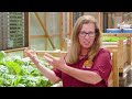 CSU Extension Dr. Folck Aquaponics