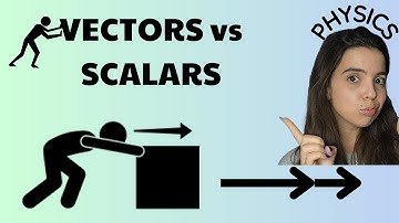 Vectors and Scalars Physics