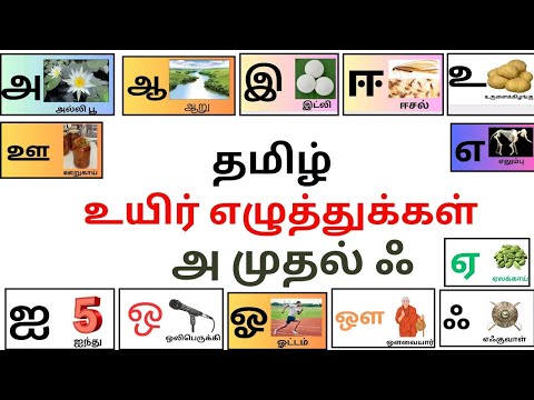 தமிழ் உயிர் எழுத்துக்கள்/அ ஆ இ ஈ/tamil words/tamil alfabets for kids ...