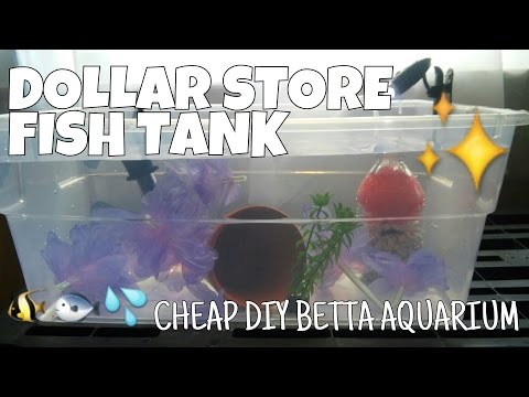How To: Cheap DIY Betta Tank with Stuff from the Dollar Store
