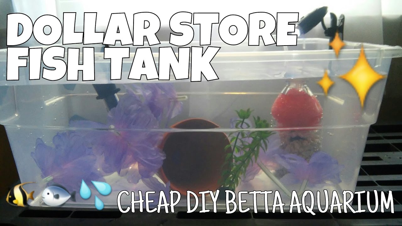 plastic bin fish tank