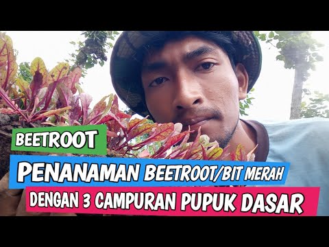 Video: Metalisasi vakum - deskripsi teknologi, perangkat, dan ulasan