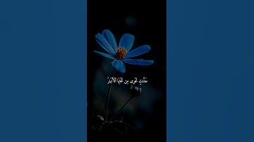 سورة النساء { ١٢٢ } #ياسر_الدوسري انشر تؤجر #القرآن
