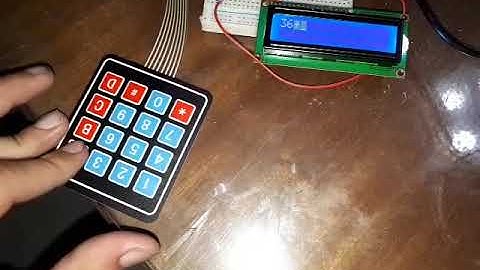 CSE 318: Microcontroller project