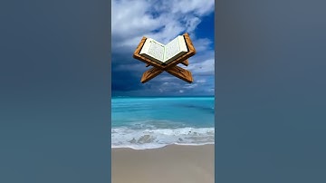 سورة المنافقين بصوت القارئ نعمه الحسان