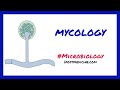 Introduction to Mycology // Microbiology