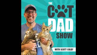 Aromatics, Stress, and TCM: Transforming Your Cat’s Well-Being Naturally | The Feline Wellness Su...