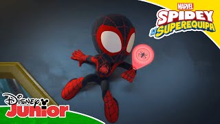 Marvel Spidey E A Sua Superequipa | Salvamento