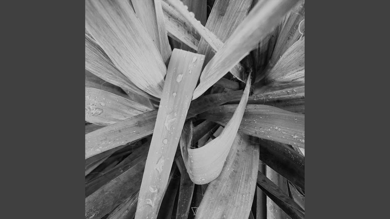 Watch Outlier on YouTube Watch Outlier on YouTube