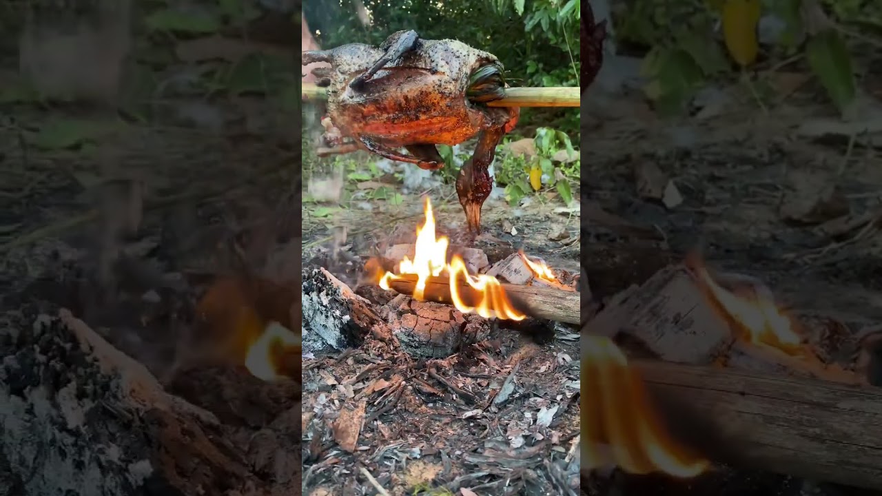 Roast duck in the forest 