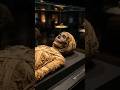 Ancient Egyptian Priestess Returns to Life After 3000 Years #mummy #ancientegypt #egyptianpriestess