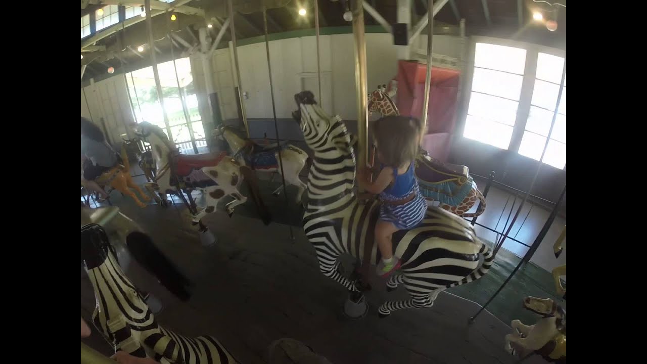 Balboa Park Merry Go Round - Zebra