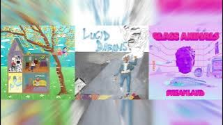 Lucid Dreams/Heat Waves/Record Player (Mashup) Juice WRLD, Glass Animals, Daisy the Great & AJR
