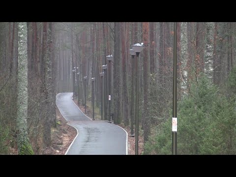 Video: Toskansk Brødsalat