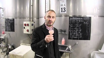 Mirabeau pre-filter tastings