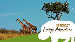 Seronera Wildlife Lodge Tanzania | Safari Experience  4K