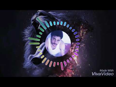 اجمل سيستيم اجنبي بويكا 