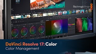 DaVinci Resolve 17 Color Training - Color Management