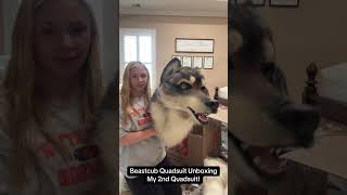 Husky Quadsuit Unboxing 🐕 
