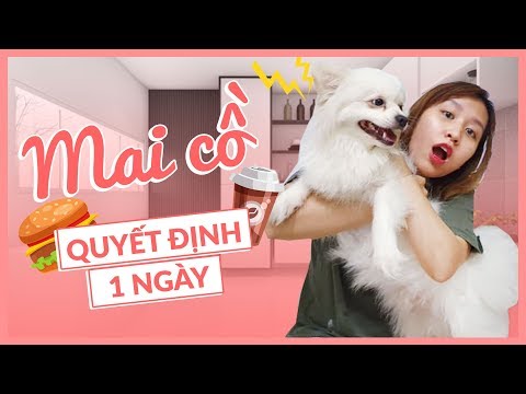 Video Lần đầu Mai Cồ quyết định 1 ngày của Chi | Boss nhà... - youtube