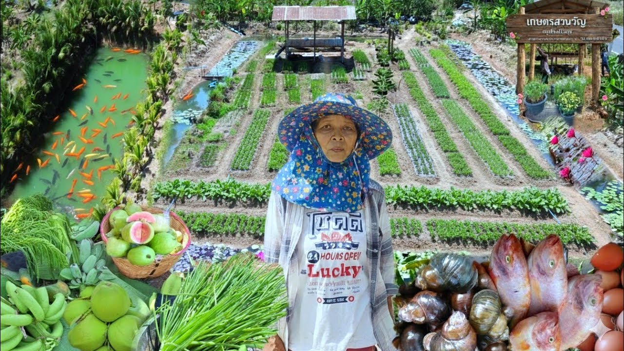 ทำหลากหลายง่ายกว่าทำนา!!ปลูกผักผลไม้เลี้ยงกุ้งหอยปูปลา..มีลูกค้าทุกวัน