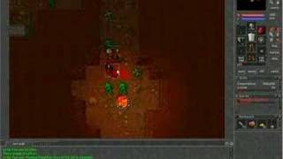Tibia Pk vs. Botter