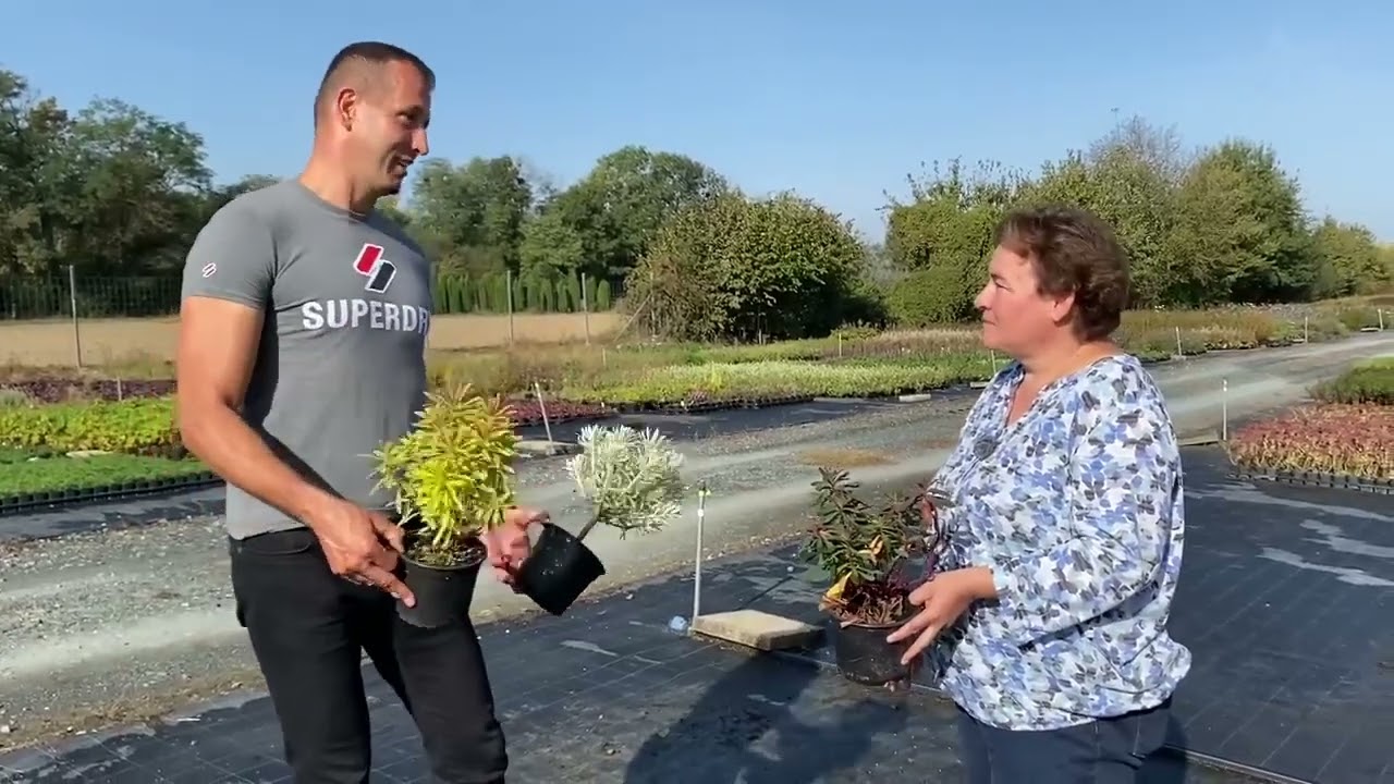 InnoFlora Évelőkertészet - Szomoru Miklós látogatása