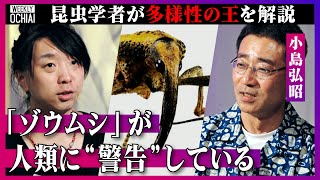 【落合陽一】レベチすぎるジュラ紀が起源、推定36万種いる『ゾウムシ』は超多様性「農業は行き過ぎると“悪”」「環境破壊で害虫を発生させている」虫が人類へ“警告”  今後の昆虫研究にAIが必要な訳とは