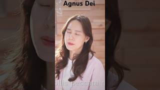 Agnus Dei#최보윤작곡편곡#Sungby정유정#종교곡#성악#라틴어#정하나호른#Frenchhorn#최보윤가곡찬송