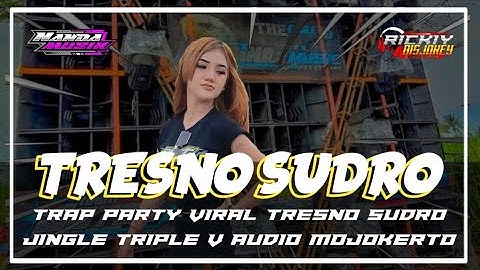 DJ TRAP PARTY TRESNO SUDRO YANG SERING DI PUTAR BREWOG AUDIO❗❗