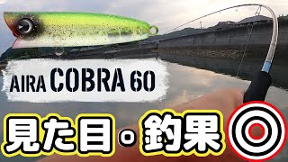 【ima AIRA COBRA 60】見た目は可愛い!!・釣果は最高!!・名前はかっこいい!! 完全に一目惚れした最強のポッパー!! #ima #チヌ  #かわいい
