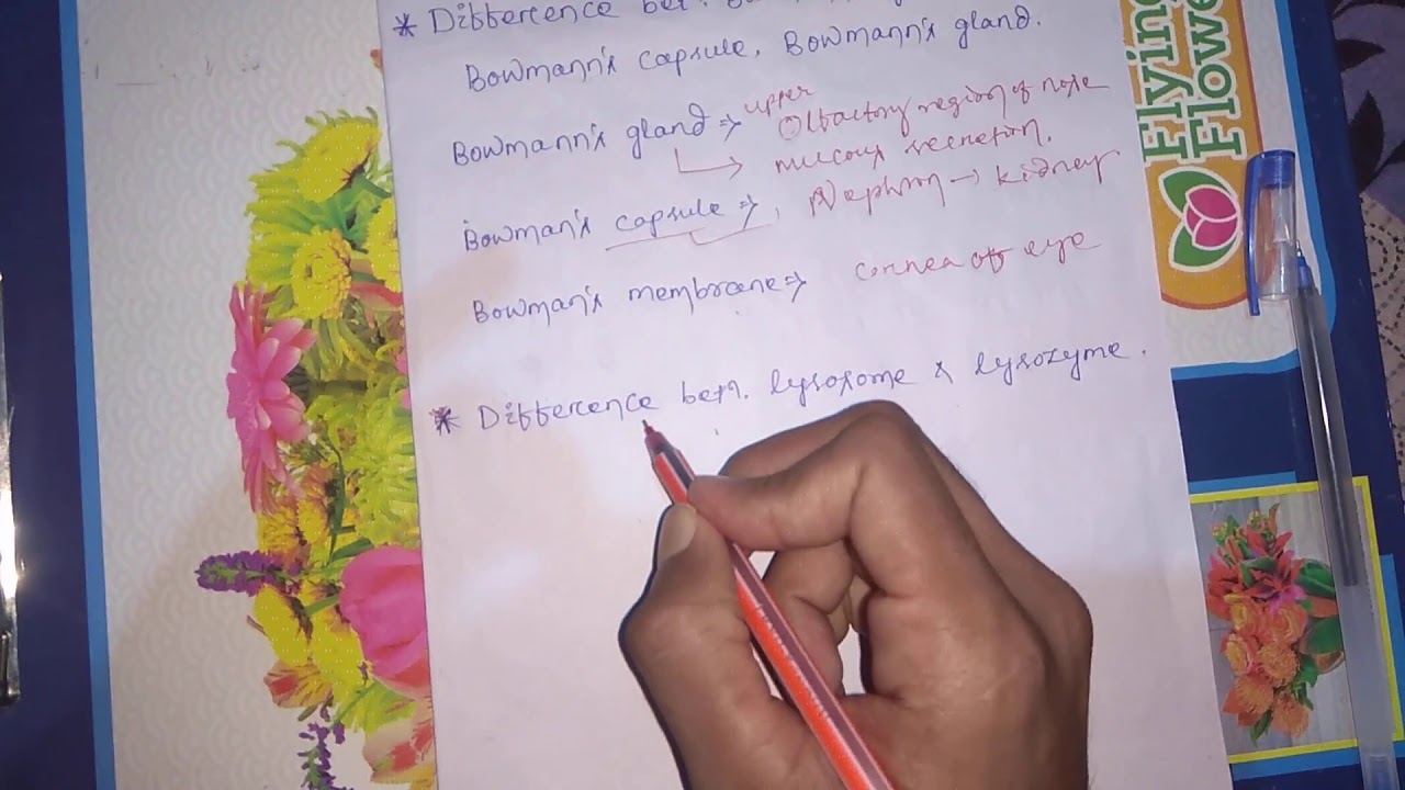 Difference between bowman capsule, Bowman's membrane, Bowman's gland , lysozyme and lysosome