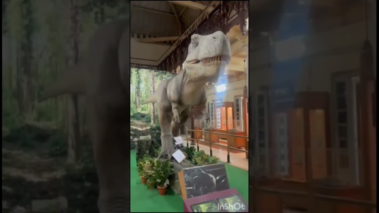 🐋 Giant  Skeleton Display At Egmore Museum Chennai! # museum vibes 