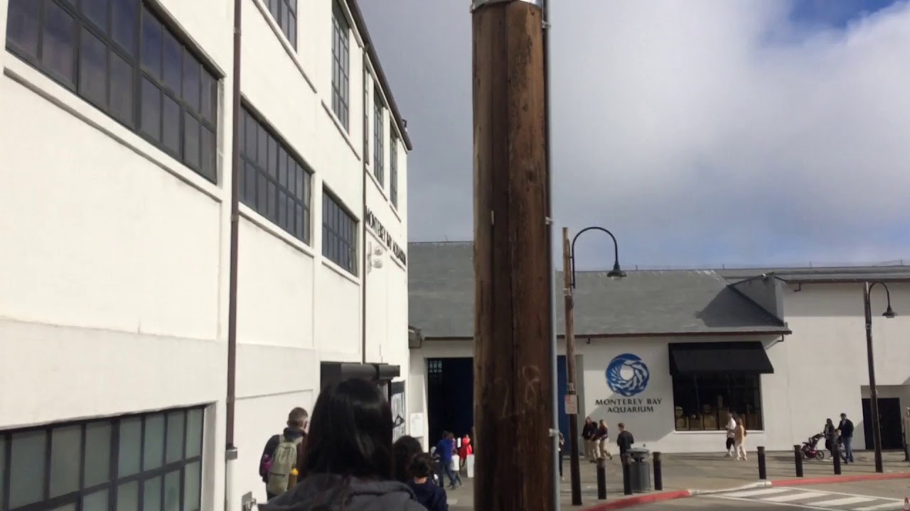 Monterey Bay Aquarium 2018