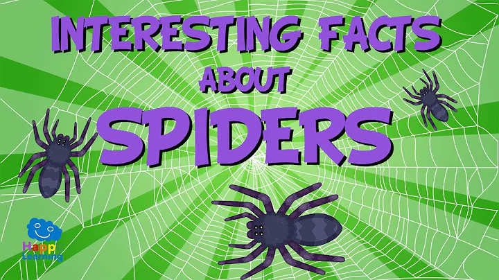 Interesting facts about Spiders | Educational Video for Kids.